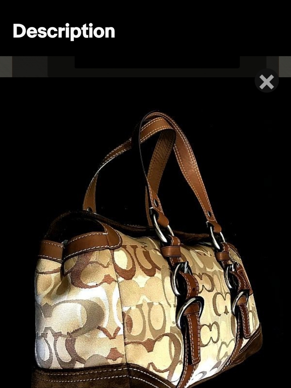 Special Edition Optic  & Coach Chelsea  Leather Bag - Tan Interior Accent - Picture 9 of 9